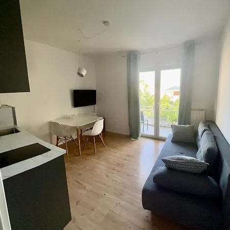 Apartament Udovicic *