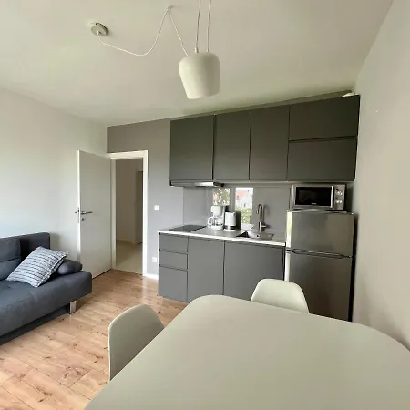Apartment Udovicic *